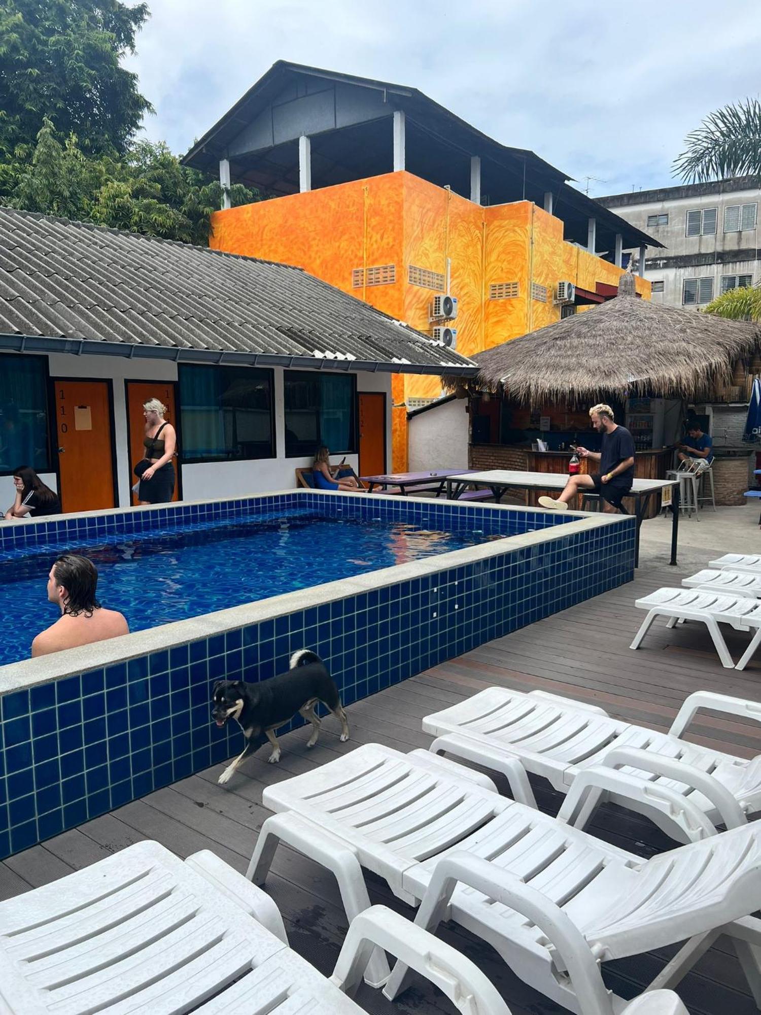Revolution Chiang Mai - Old Town 호스텔 외부 사진
